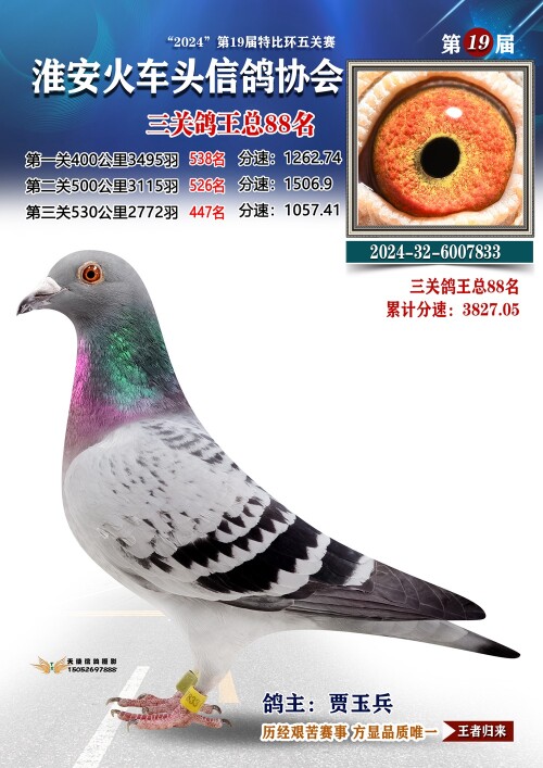 三关鸽王总88名