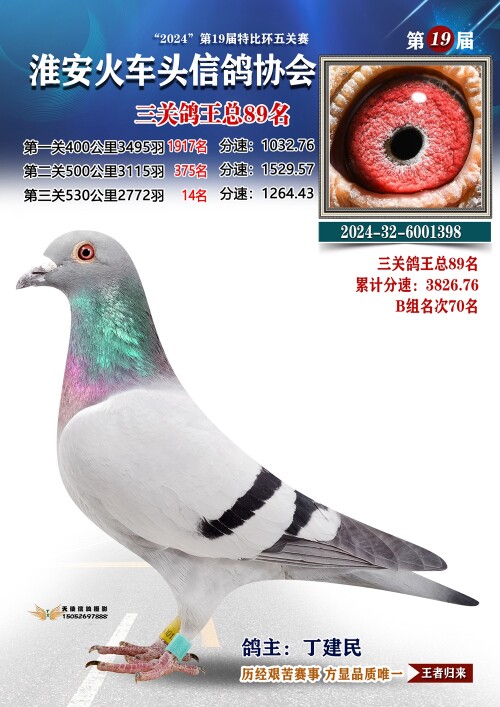 三关鸽王总89名