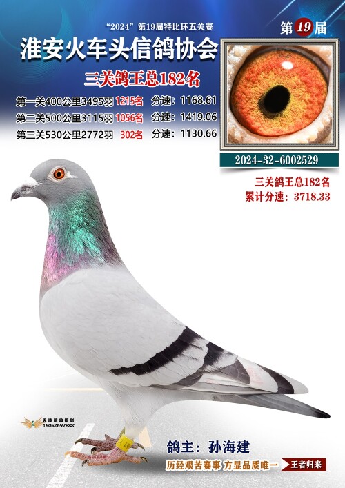 三关鸽王总182名