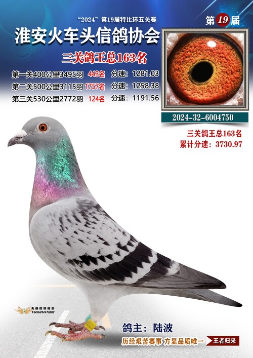 三关鸽王总163名