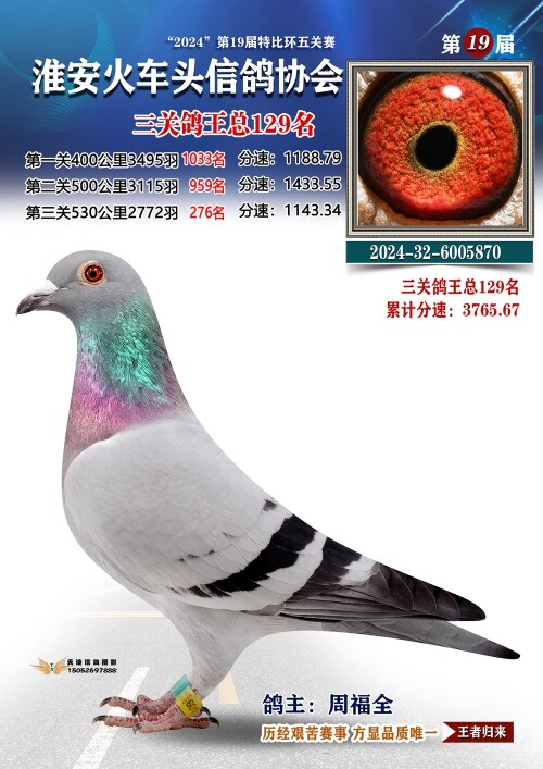 三关鸽王总129名