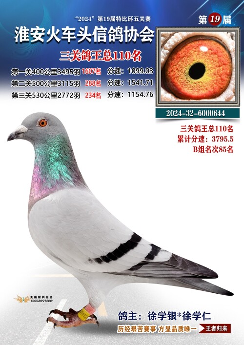 三关鸽王总110名