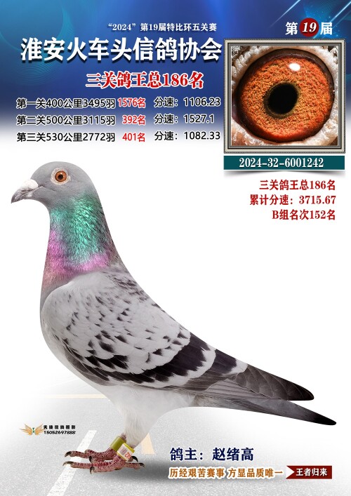 三关鸽王总186名