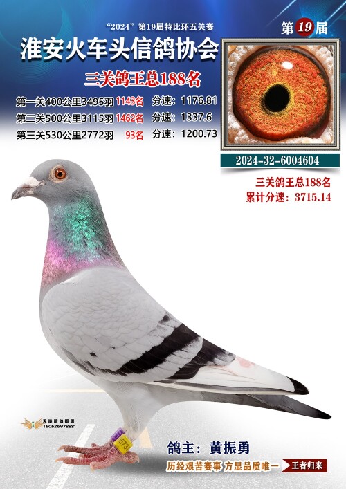 三关鸽王总188名