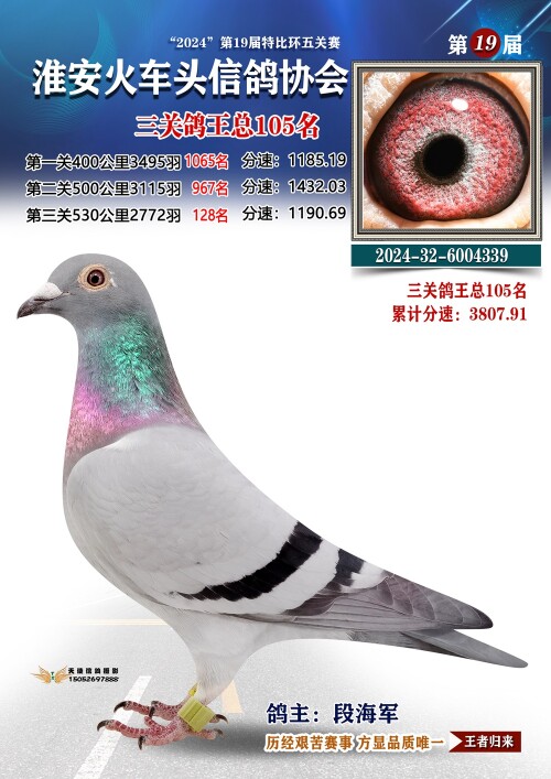 三关鸽王总105名