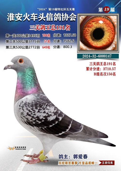 三关鸽王总191名
