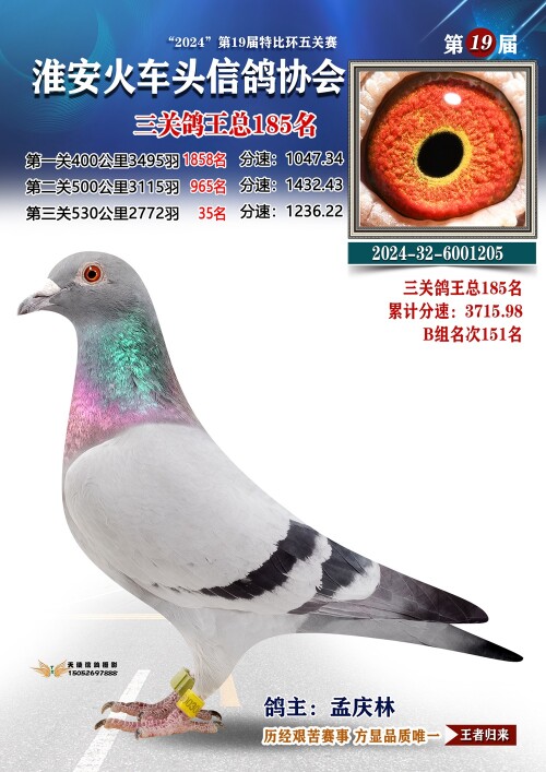 三关鸽王总185名