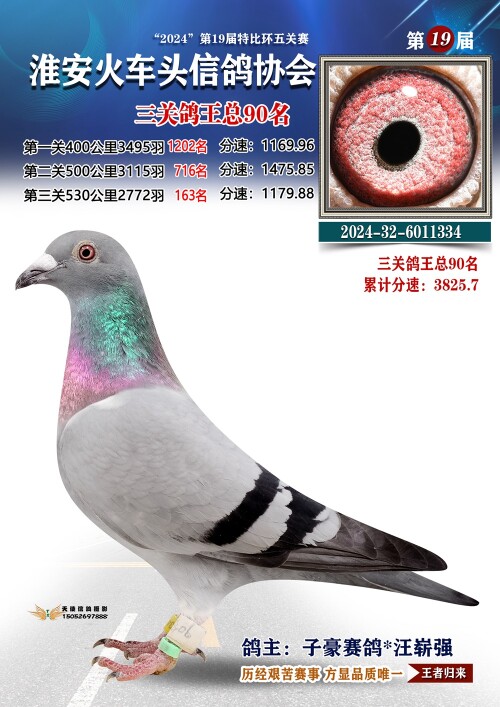 三关鸽王总90名