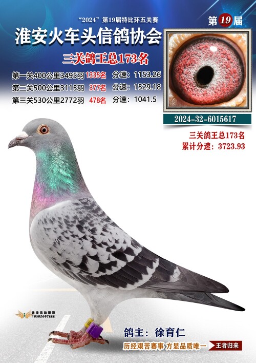 三关鸽王总173名