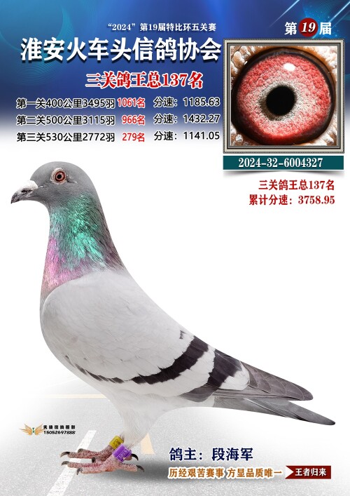 三关鸽王总137名