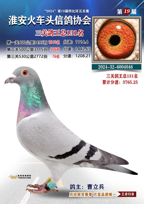 三关鸽王总131名