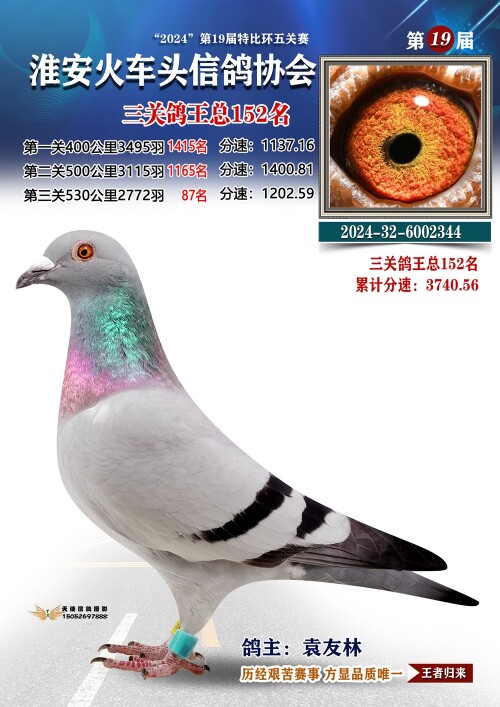 三关鸽王总152名