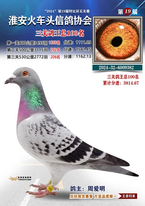 三关鸽王总100名