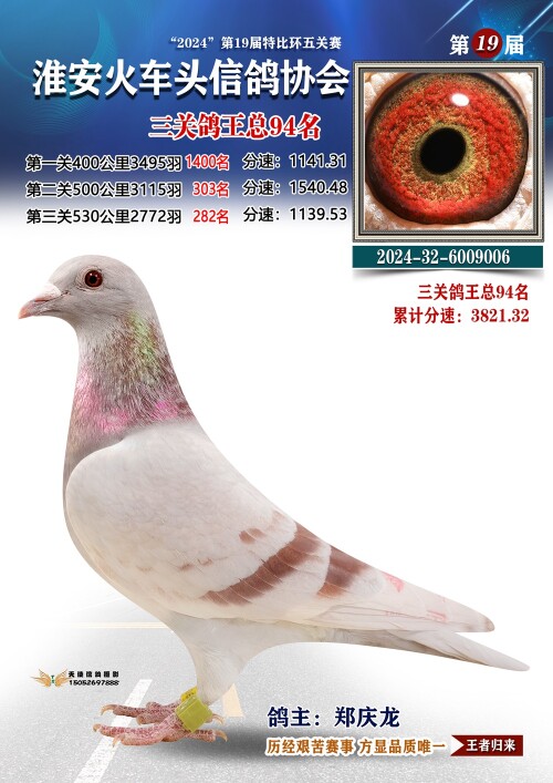 三关鸽王总94名