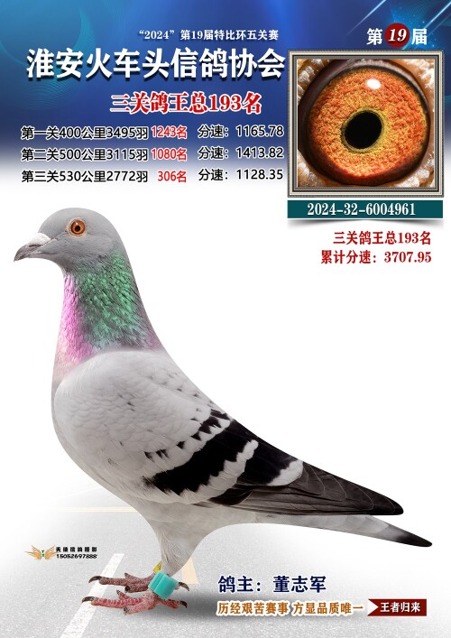 三关鸽王总193名