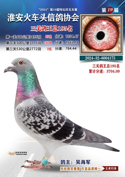 三关鸽王总195名