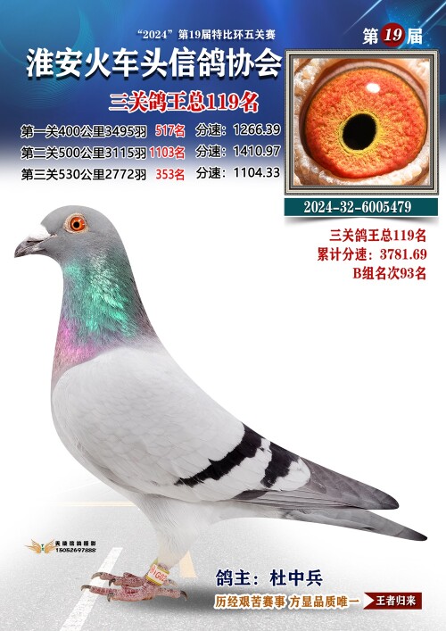 三关鸽王总119名