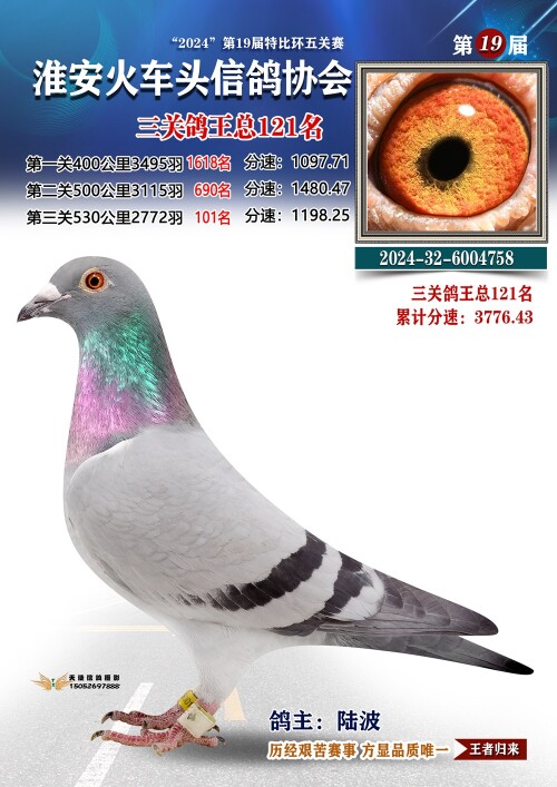 三关鸽王总121名