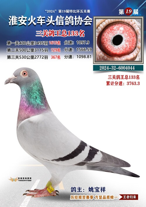 三关鸽王总133名