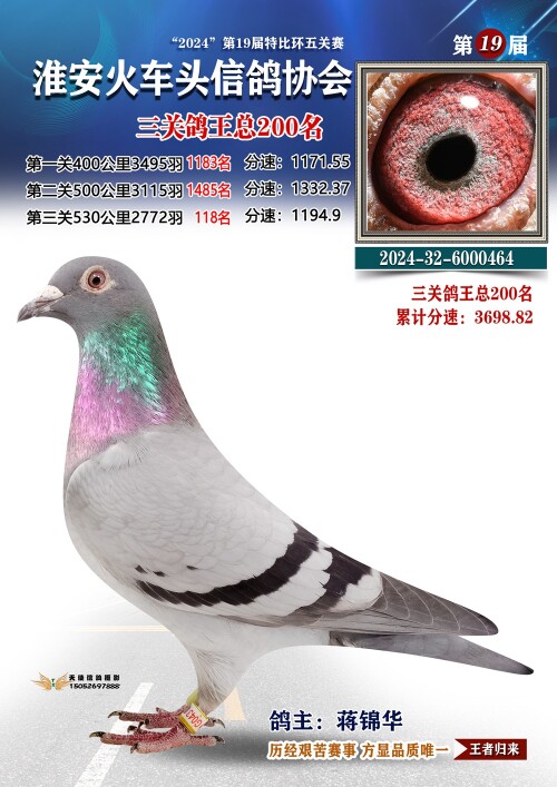 三关鸽王总200名