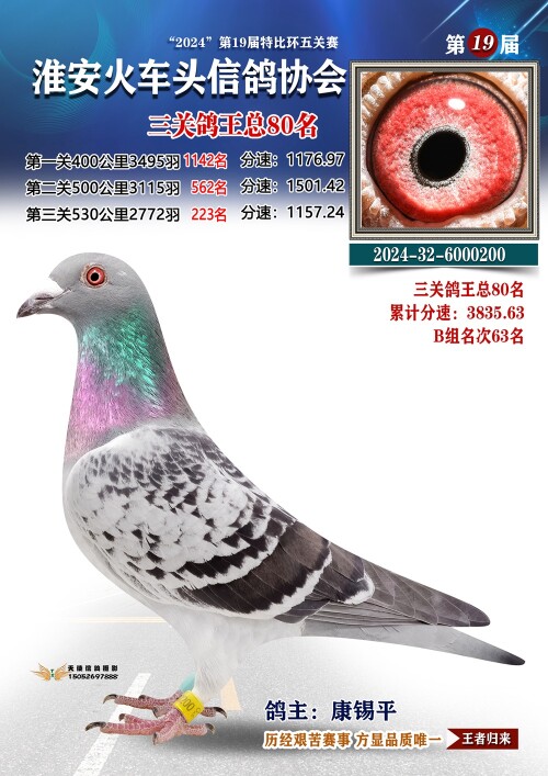 三关鸽王总80名