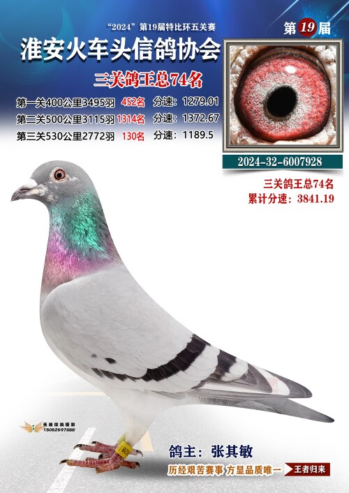 三关鸽王总74名