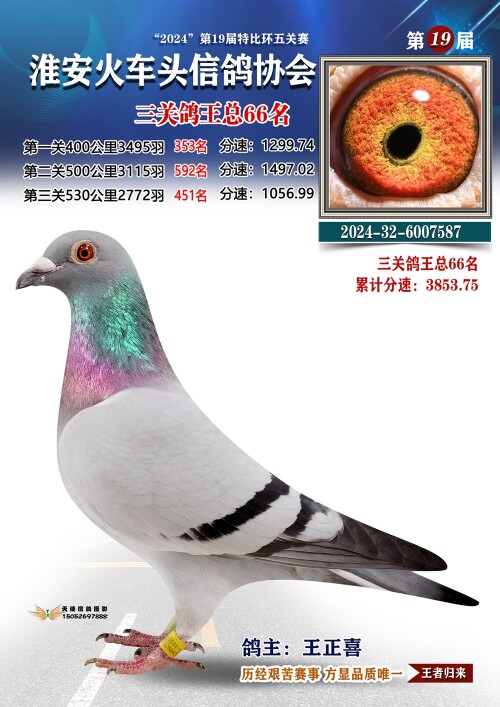 三关鸽王总66名