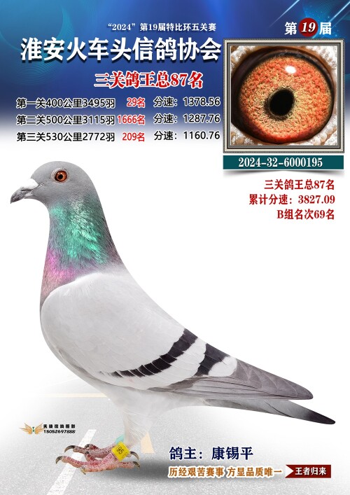 三关鸽王总87名