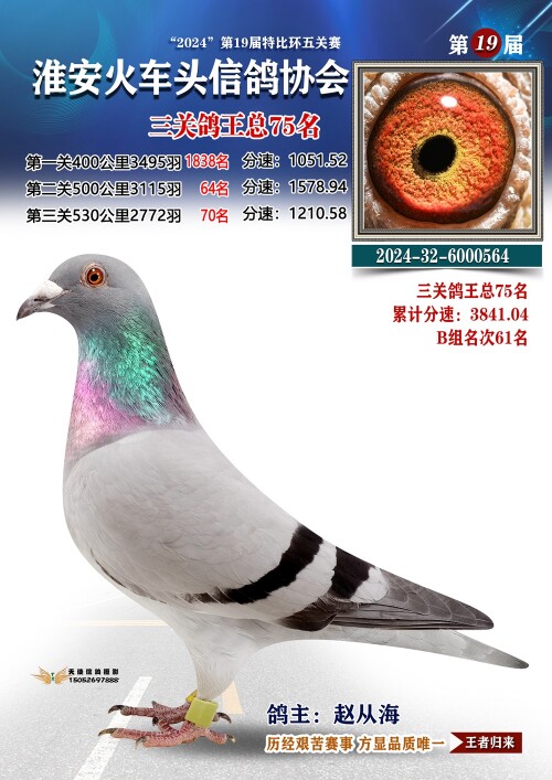 三关鸽王总75名