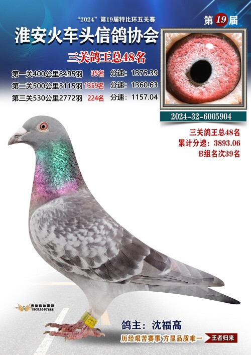 三关鸽王总48名