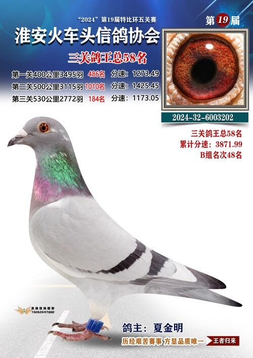 三关鸽王总58名