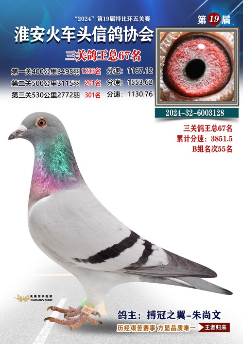 三关鸽王总67名