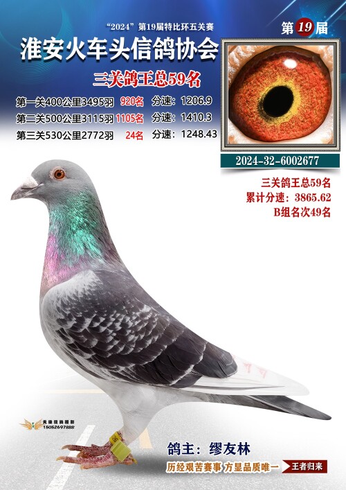 三关鸽王总59名