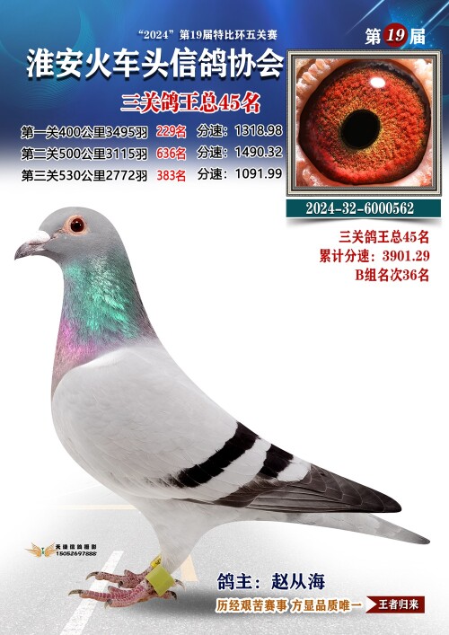 三关鸽王总45名