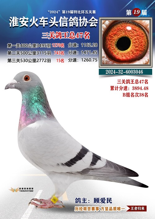 三关鸽王总47名