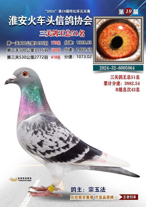 三关鸽王总51名