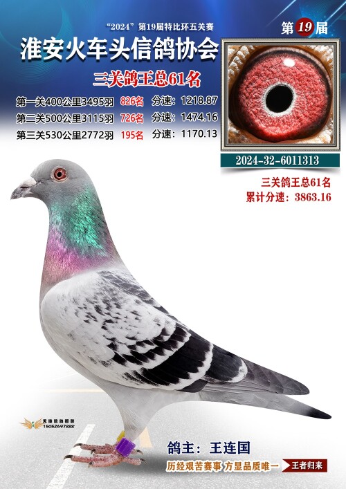 三关鸽王总61名