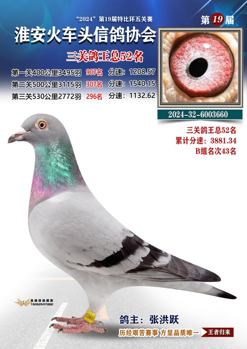 三关鸽王总52名