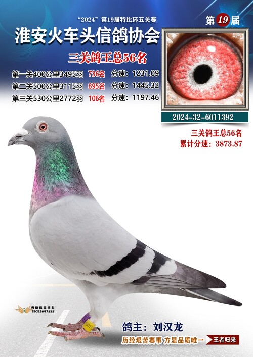 三关鸽王总56名