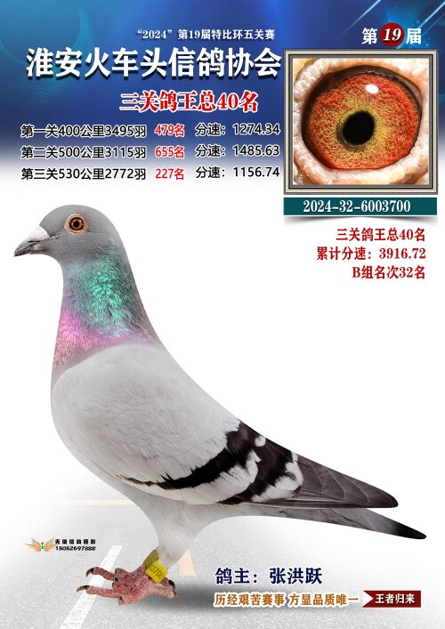 三关鸽王总40名