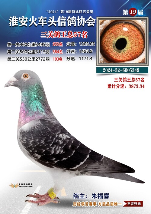 三关鸽王总57名