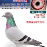 7VX6rI