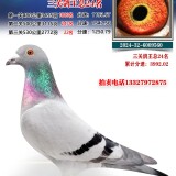 7VXxVb