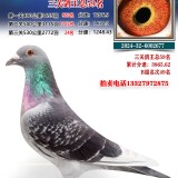 7VjHp5