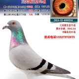 7VjP2J