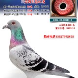 7Vjbt4