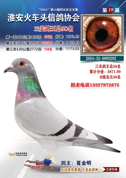 7Vjuc3.jpg